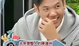 王力宏范玮琪视频爆料,揭秘娱乐圈背后的真相